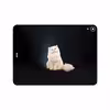 برچسب پوششی ماهوت مدل Persian cat مناسب برای تبلت اپل iPad Pro 11 2018 A1934