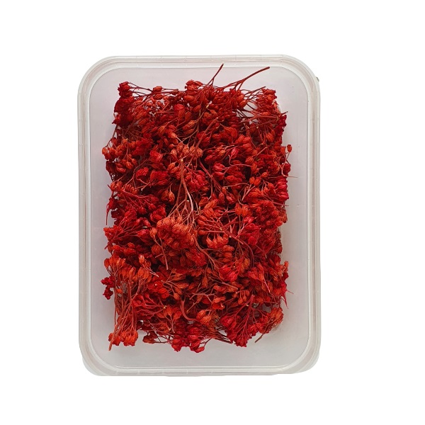 گل خشک مدل بومادران کد 62 وزن 95 گرم