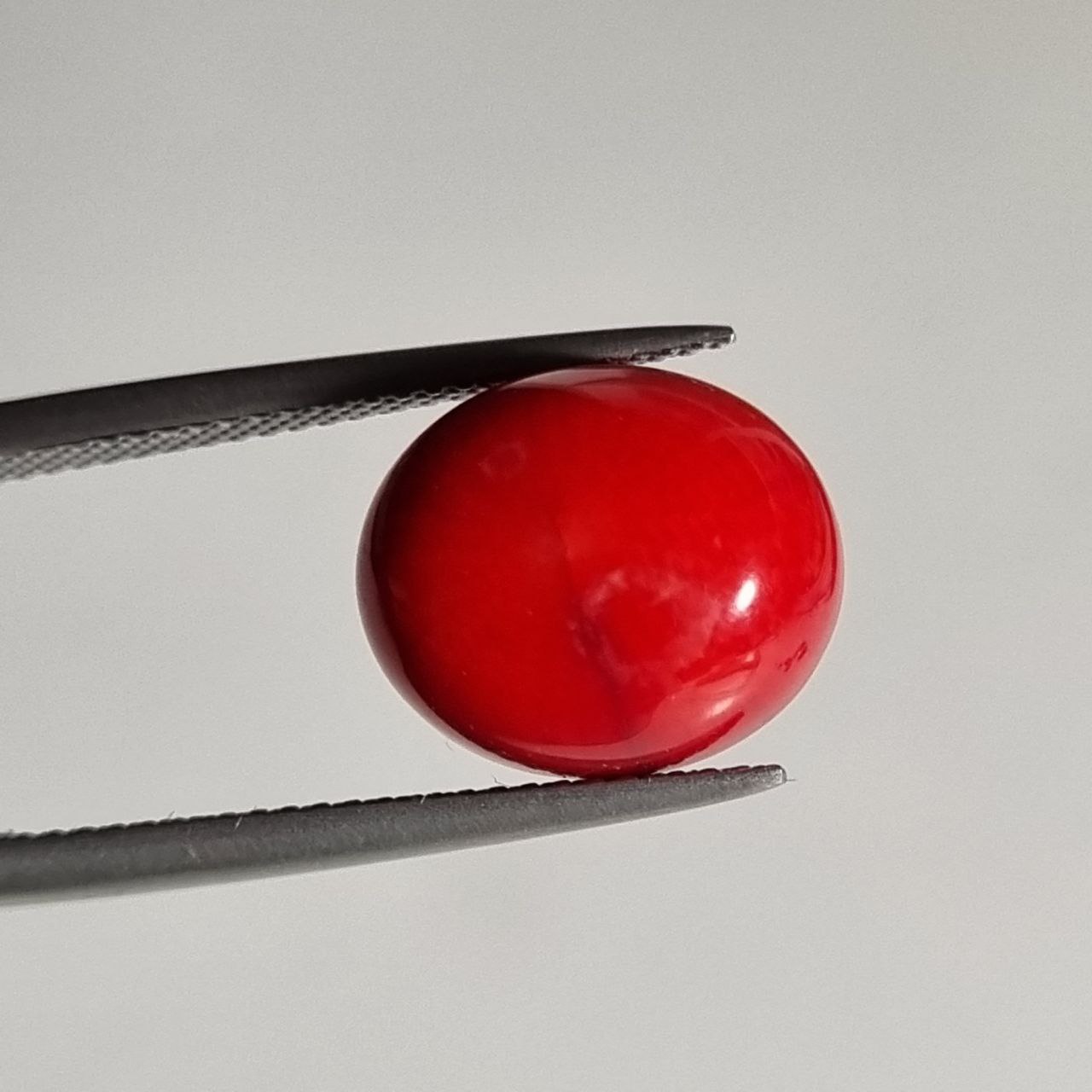 نگین مرجان بهسازی شده بیضی قرمز 7932