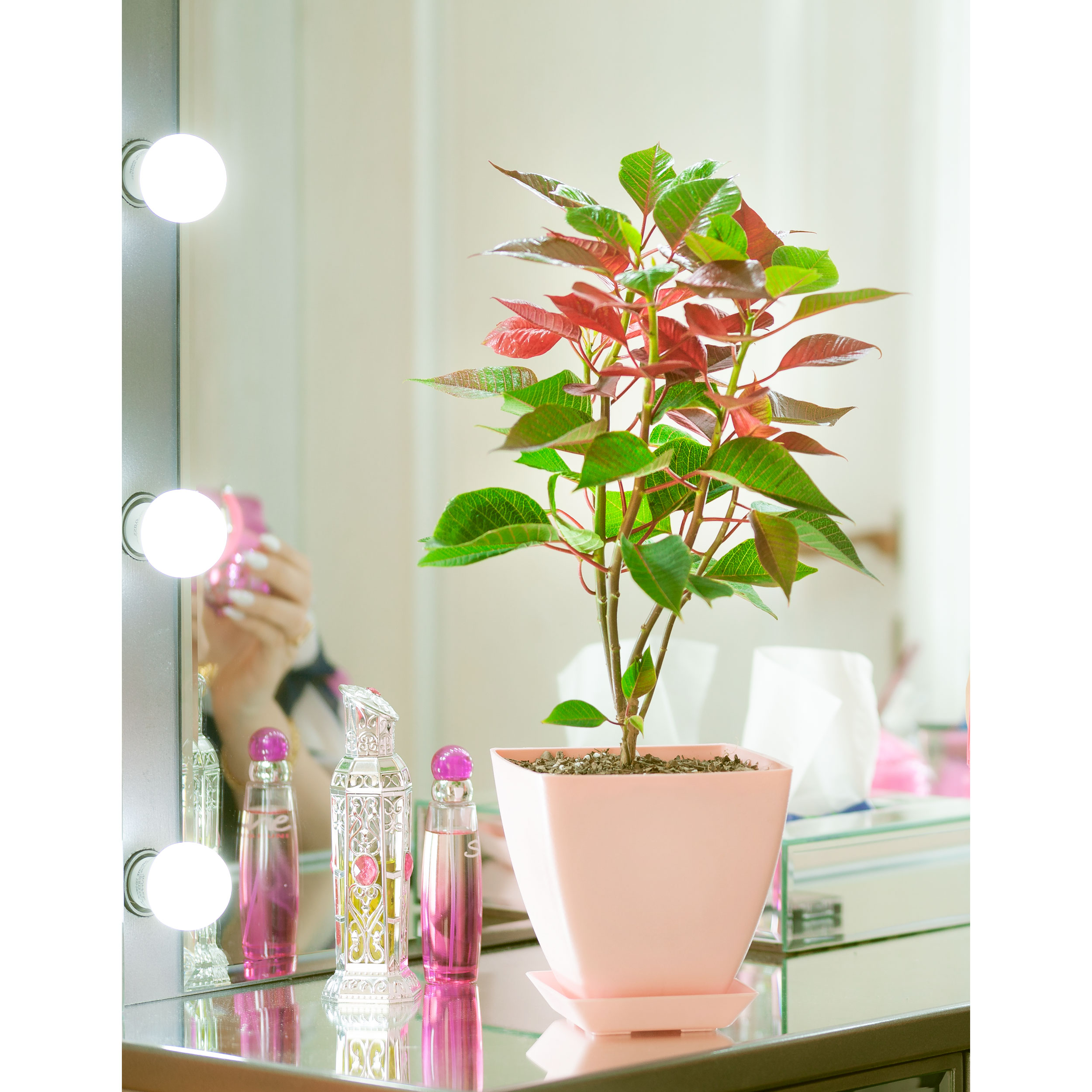 گلدان گل آذین مدل پلاستیکی مربع کد 015