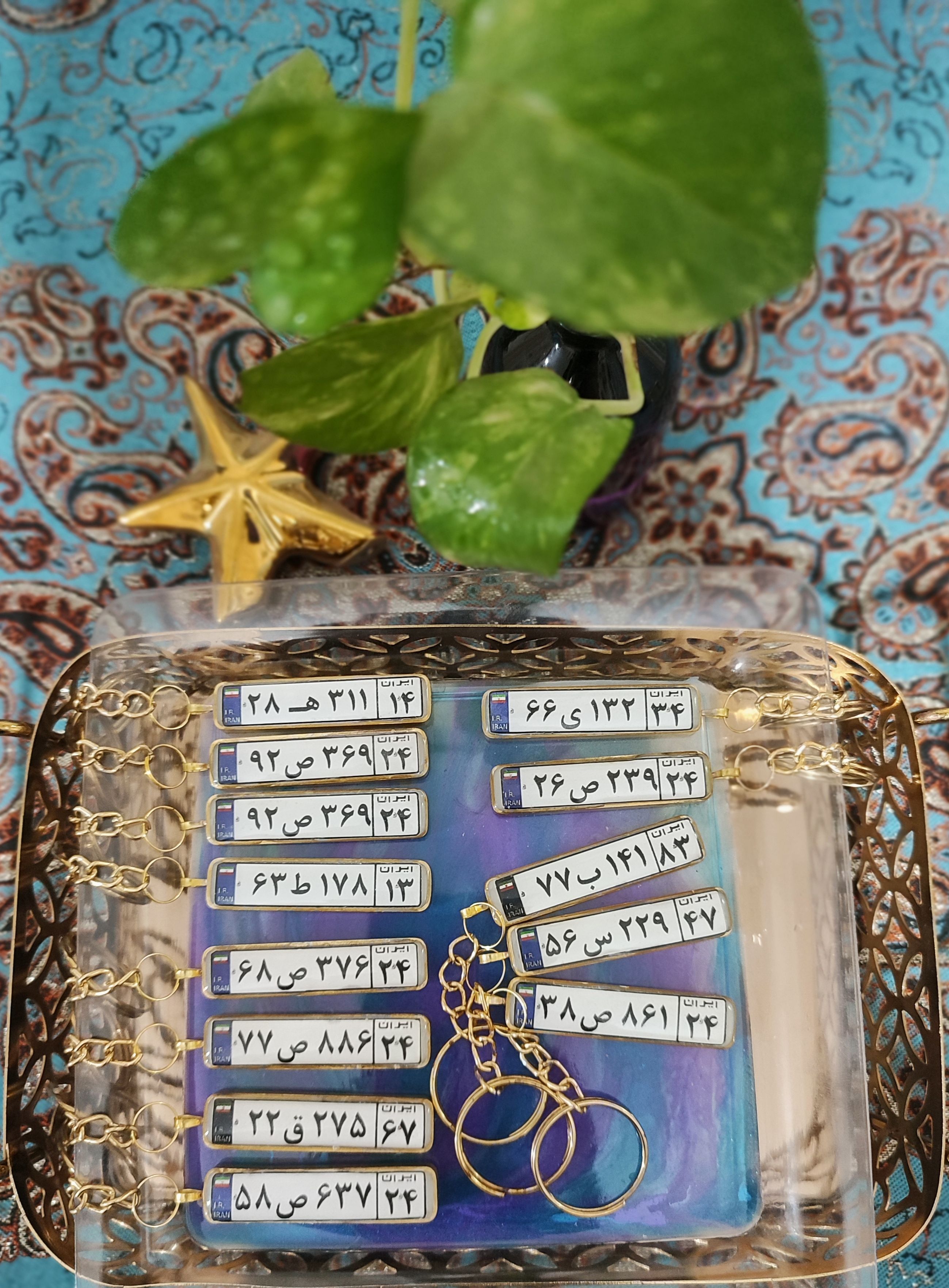 جا کلیدی پلاک خودرو رزینی