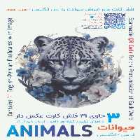 فلش کارت های آموزش زبان انگلیسی 3 (حیوانات:ANIMALS)،(2زبانه،باجعبه) - ناشربوک | خرید آنلاین کتاب