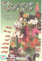 قیمت و خرید کتاب گلکاری نشر آییژ اثر اسماعیل پیش بین | ایده بوک