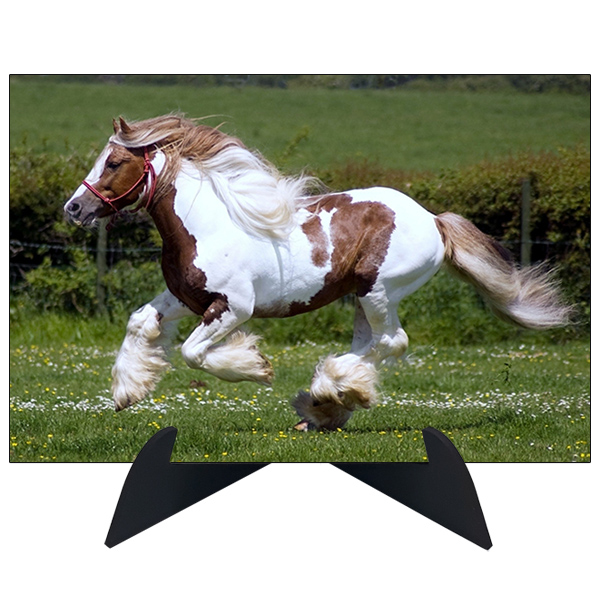 تابلو شاسی رومیزی طرح اسب کد horse 561