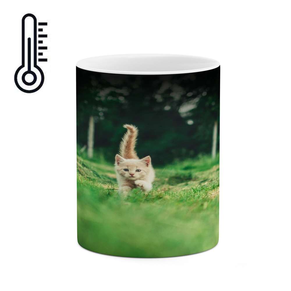 ماگ حرارتی کاکتی طرح گربه مدل mgh16474