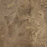 خرید و دانلود عکس ShutterStock-2014-Backgrounds &amp; Textures کد 53517 | پیک فاکس | Pic Fox
