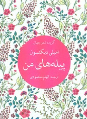 پیلههای من