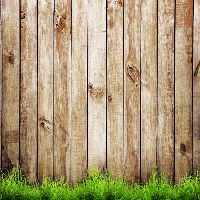 خرید و دانلود عکس Background-Part-17 کد 5402 | پیک فاکس | Pic Fox