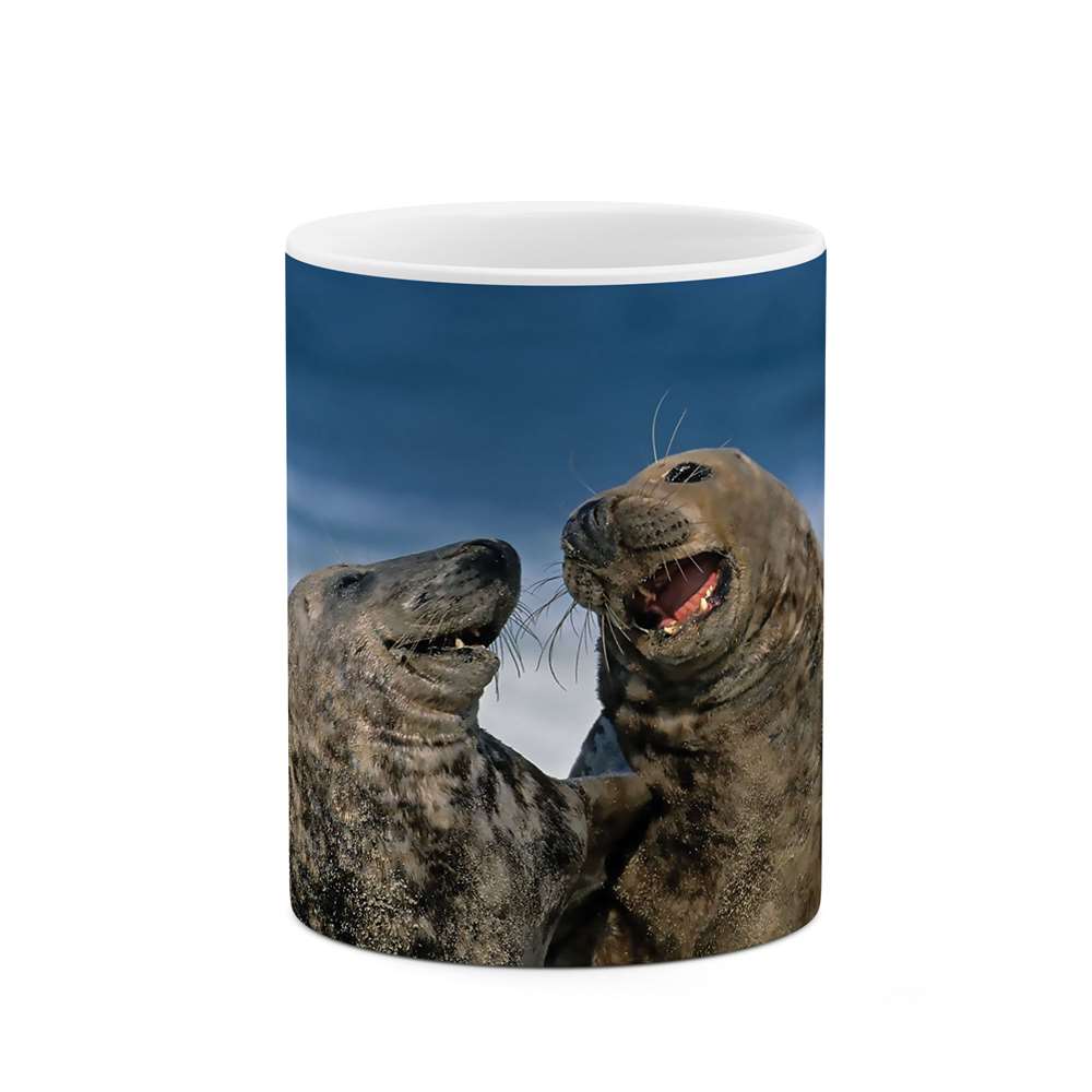 ماگ طرح فوک مدل mgs06301