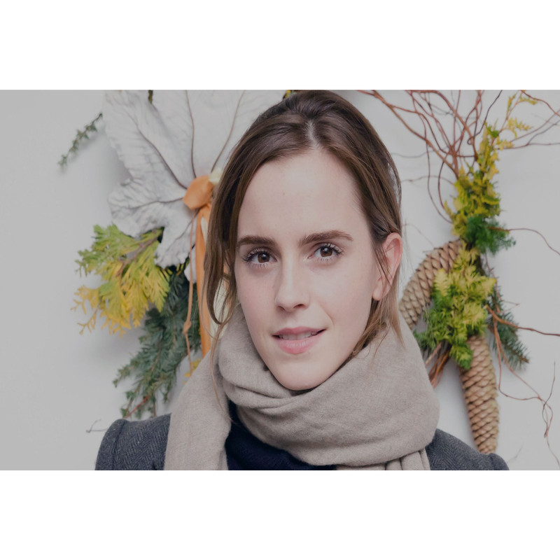 تابلو شاسی مدل بازیگر اما شارلوت واتسون T6435 | دنیای قاب