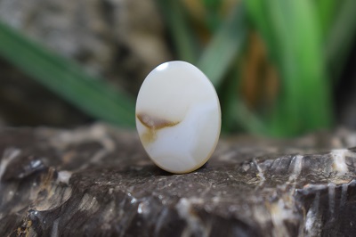 عقیق شجر برزیل