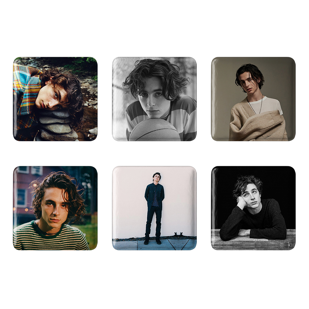 پیکسل خندالو مدل تیموتی شالامی Timothée Chalamet کد 1109A مجموعه 6 عددی