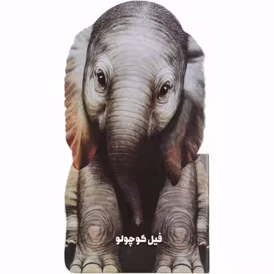 کتاب فیل کوچولو مجموعه حیوانات کوچک اثر جیووانی کاویزل انتشارات بین المللی گاج