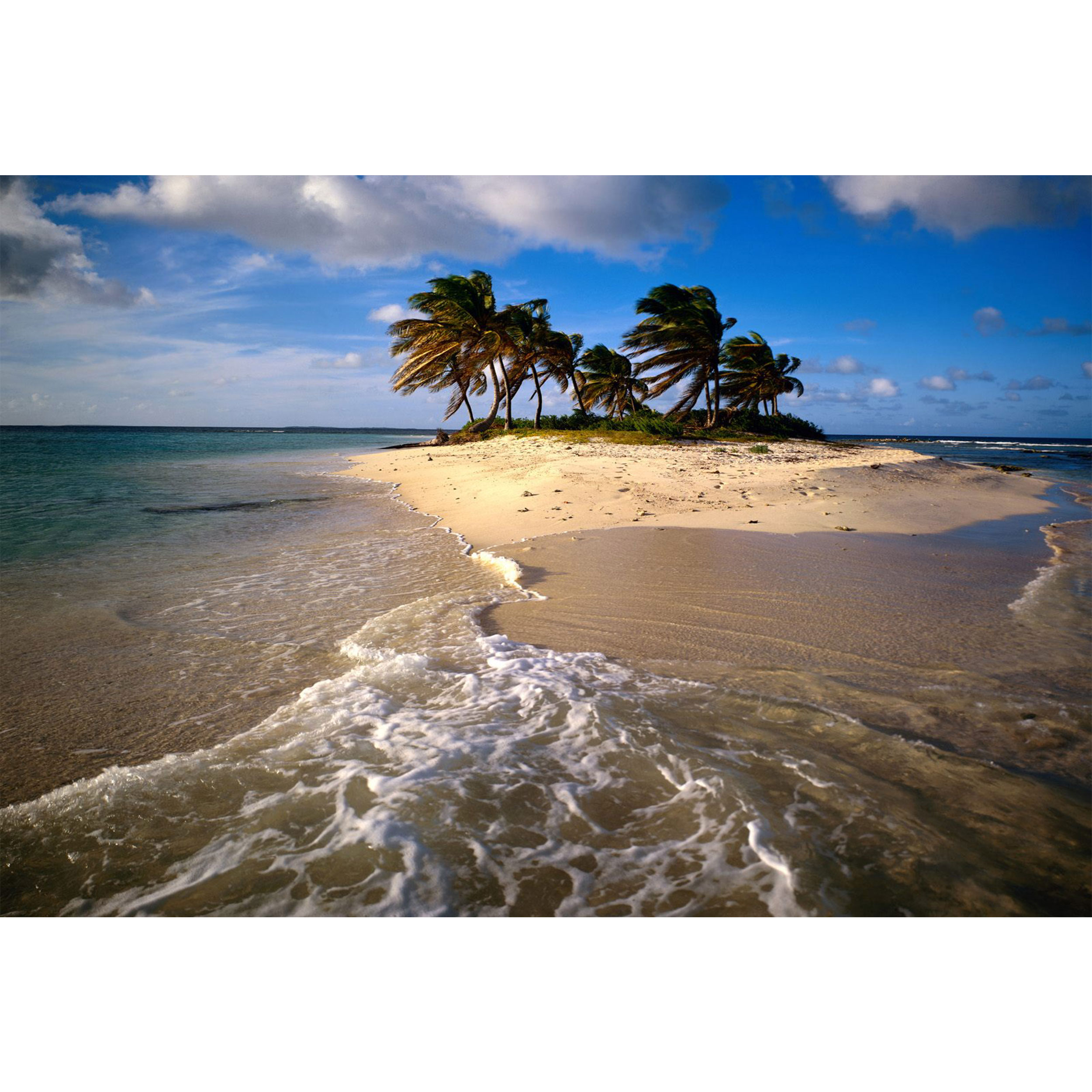 تابلو شاسی مدل دریا و ساحل و درخت و نخل T7488