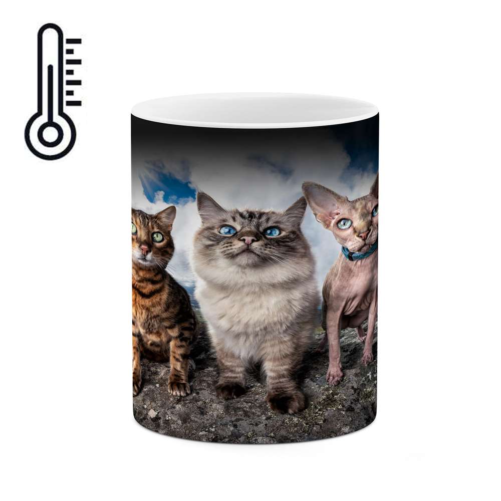 ماگ حرارتی کاکتی طرح گربه مدل mgh16479