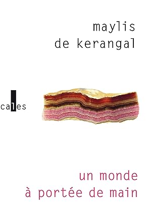 خرید و دانلود نسخه کامل کتاب Un monde à portée de main - Pdf