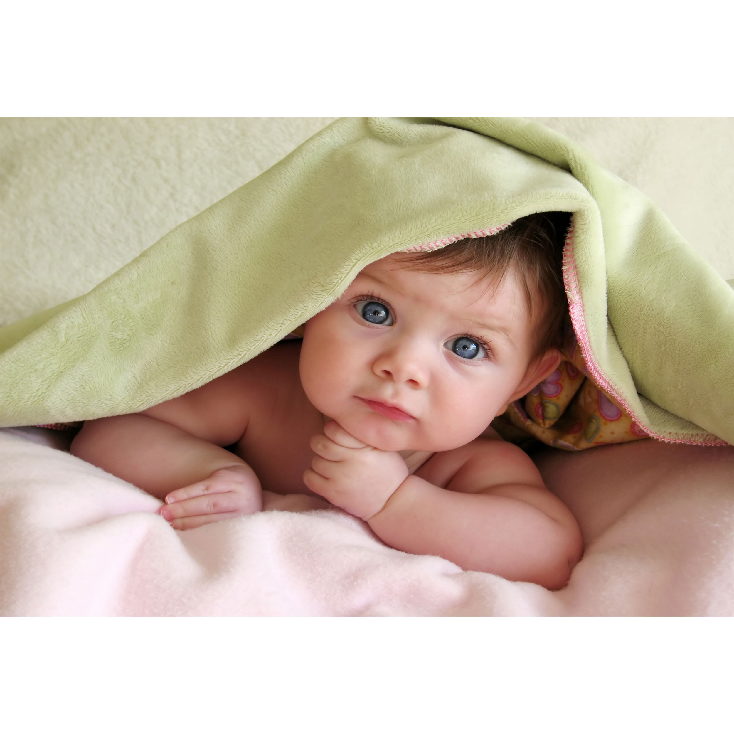 تابلو شاسی مدل نوزاد کد T7244