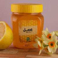 عسل صبحانه کوچک ( تغذیه شده) 500 گرمی ایرونیش
