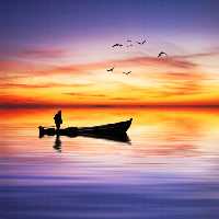 خرید و دانلود عکس Nature-Part-8 کد 37249 | پیک فاکس | Pic Fox