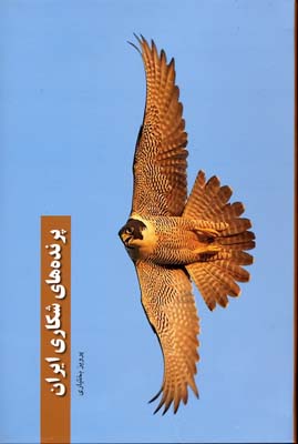 پرنده های شکاری ایران