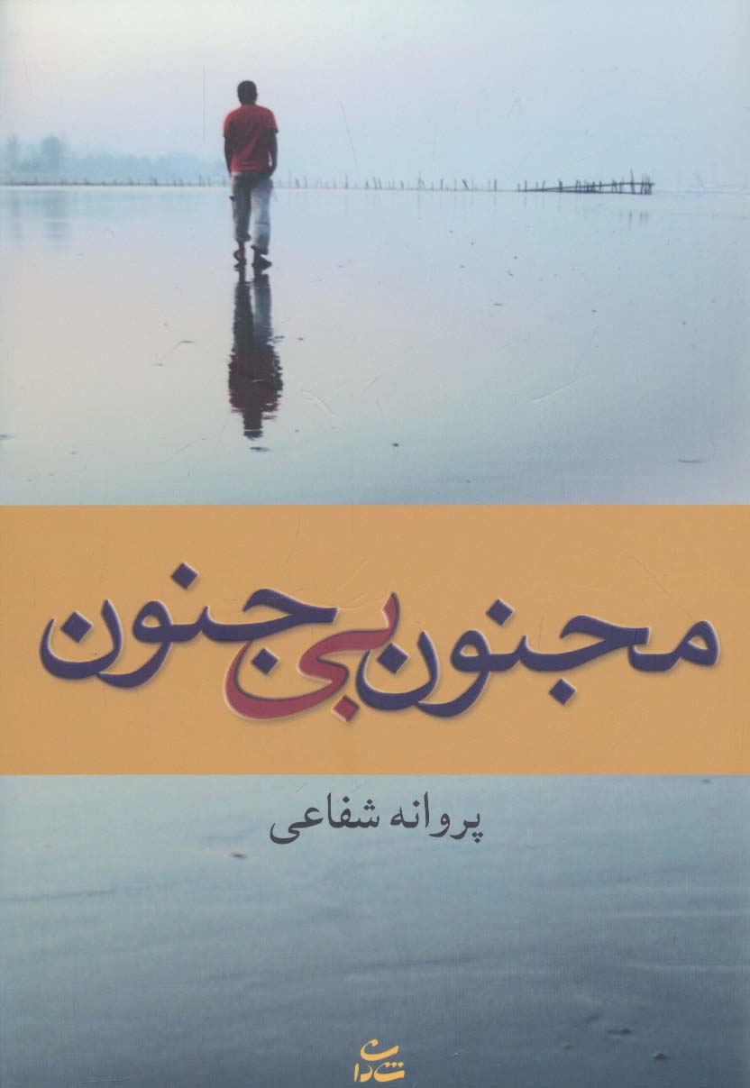 مجنون بی جنون - ناشربوک | خرید آنلاین کتاب