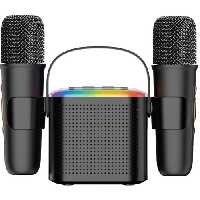 اسپیکر Green Lion 2 in 1 Karaoke