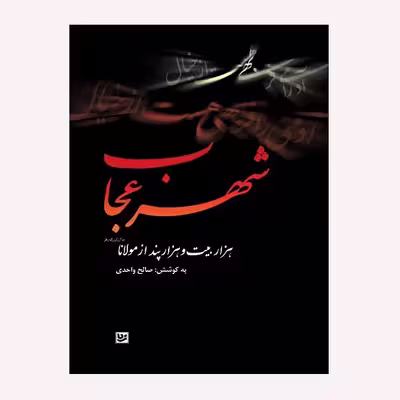 كتاب شهر عجايب اثر صالح واحدي انتشارات گويا