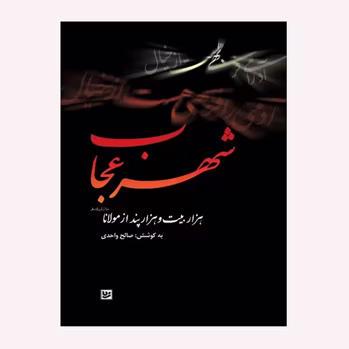 كتاب شهر عجايب اثر صالح واحدي انتشارات گويا