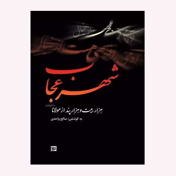 كتاب شهر عجايب اثر صالح واحدي انتشارات گويا