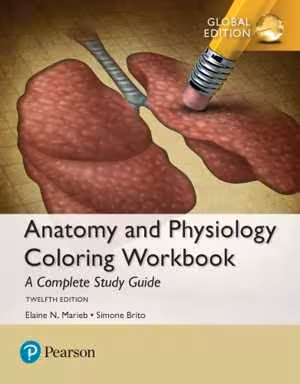 [PDF] دانلود کتاب Anatomy And Physiology Coloring Workbook - A Complete Study Guide, 12th ed, 2018