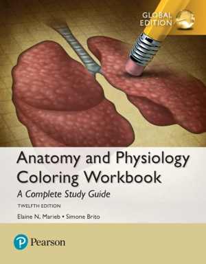 [PDF] دانلود کتاب Anatomy And Physiology Coloring Workbook - A Complete Study Guide, 12th ed, 2018