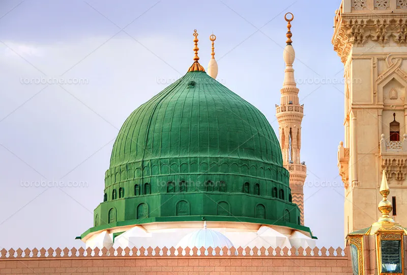 عکس مدینه | گرافیک با طعم تربچه