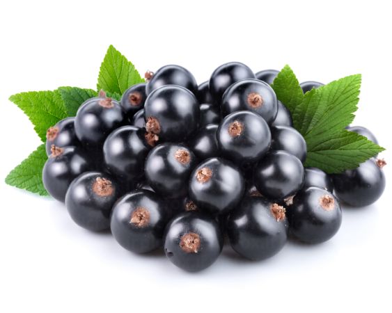 خرید و دانلود عکس Food-Part-16 کد 19266 | پیک فاکس | Pic Fox