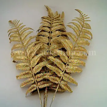 برگ اکلیل دار طلائی