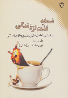 نسخه لذت از زندگی (برقراری تعادل در کار،عشق و بازی زندگی) نشر نقش و نگار