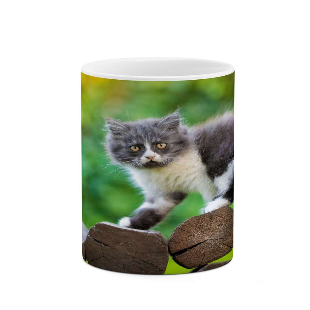 ماگ کاکتی طرح گربه مدل mgs14423