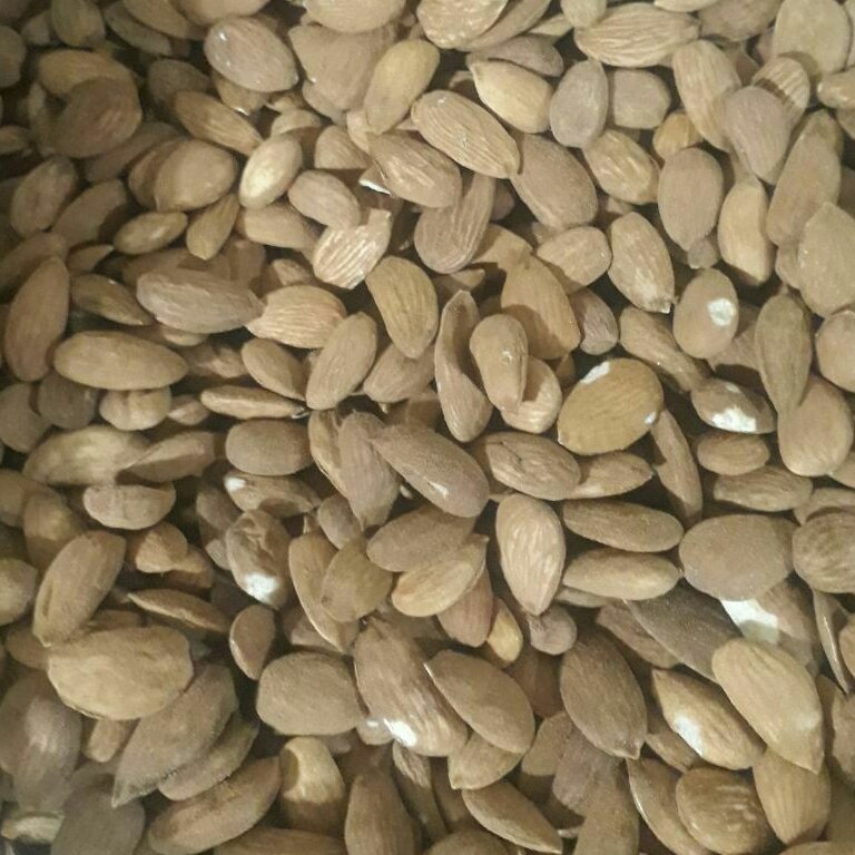 خشکبارنازگل 
مغزبادام درجه یک
