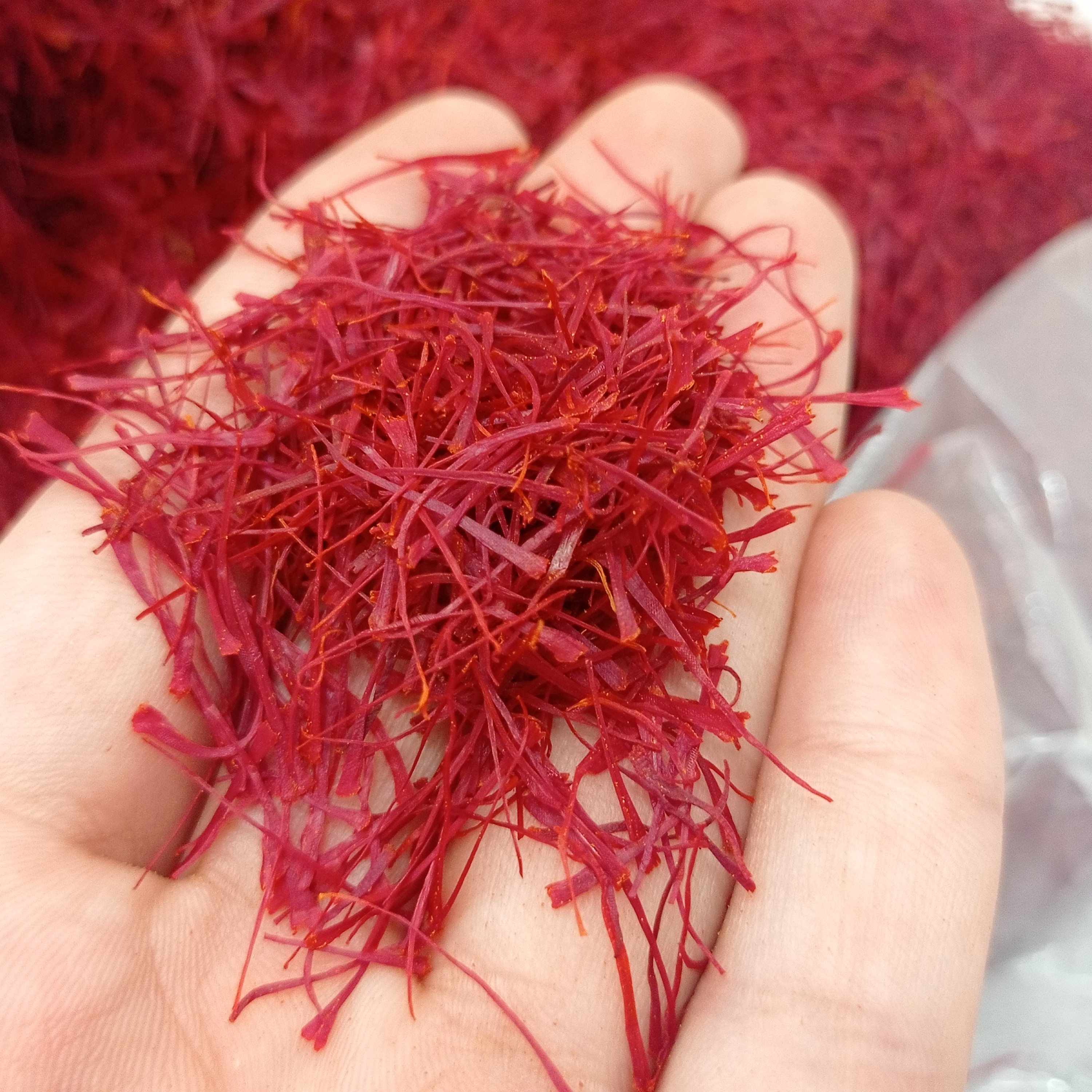 زعفران نگین