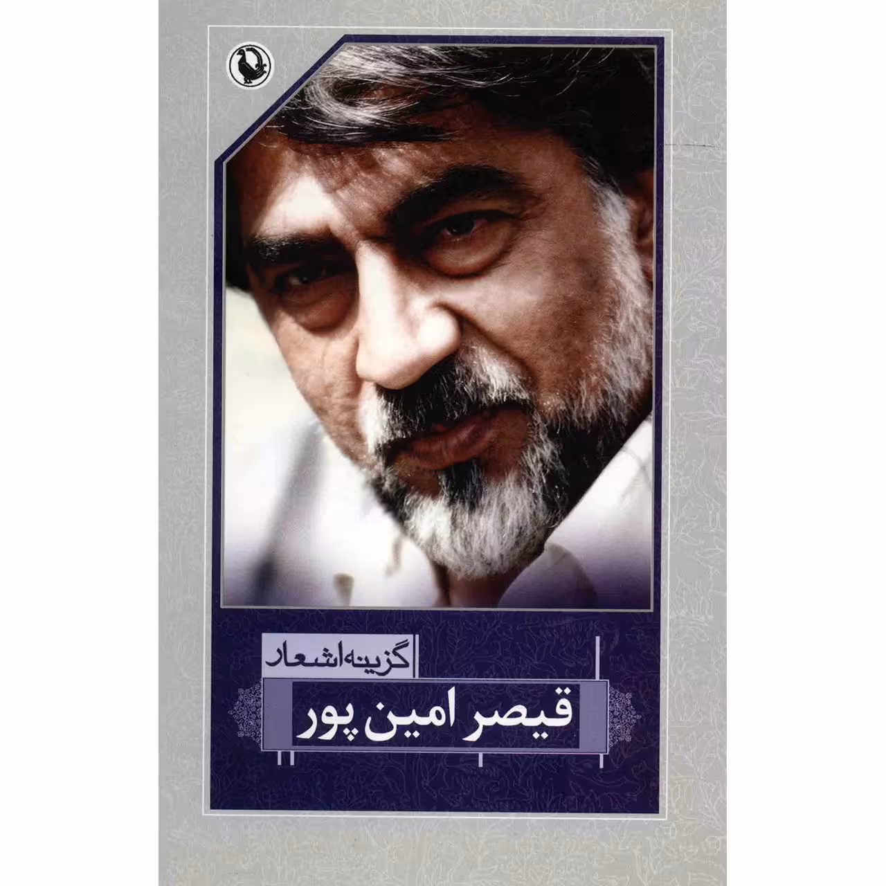کتاب گزینه اشعار قیصر امین پور