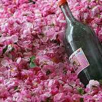 گلاب (گل محمدی)(1لیتری)