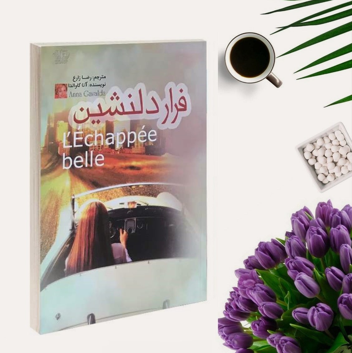 کتاب فرار دلنشین اثر آنا گاوالدا انتشارات آزرمیدخت