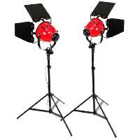 نور ثابت هالوژن مدل 300 مجموعه 2 عددی