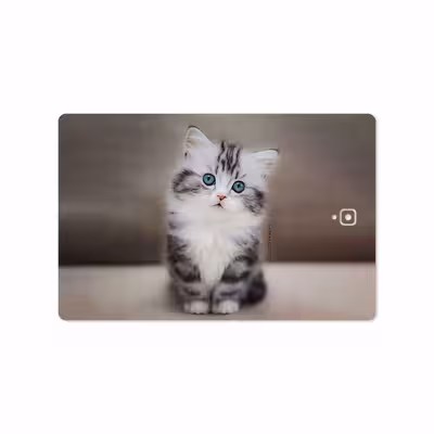 برچسب پوششی ماهوت مدل Cat-2 مناسب برای تبلت سامسونگ Galaxy Tab S3 9.7 2017 T820