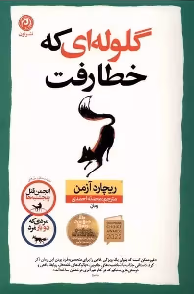 گلوله ای که خطا رفت - کتاب‌فروشی کوچه کتاب