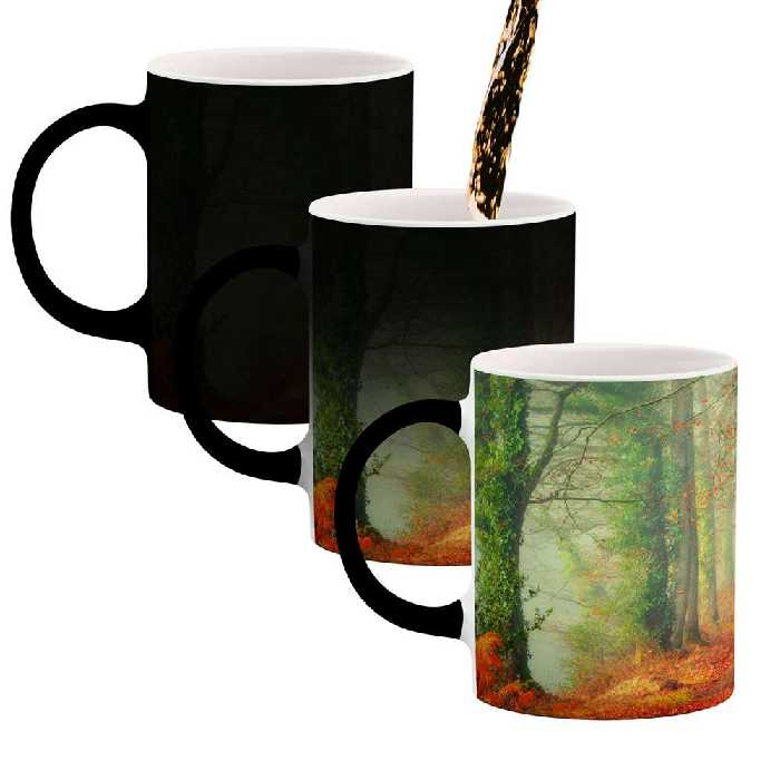 ماگ حرارتی کاکتی طرح منظره مدل mgh13235