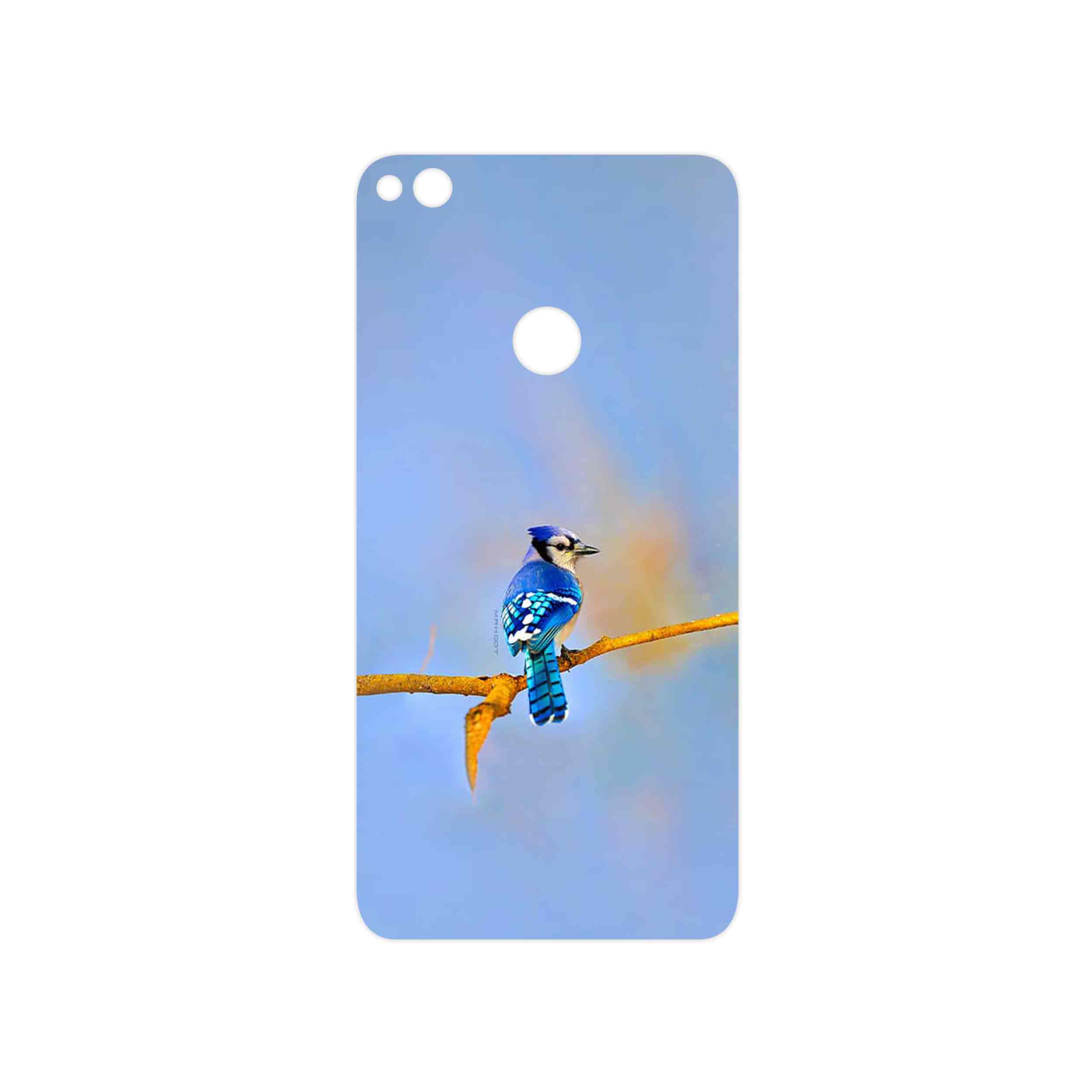 برچسب پوششی ماهوت مدل Cyanocitta cristata مناسب برای گوشی موبایل آنر 8 Lite