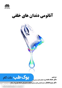آناتومی دندان های خلفی