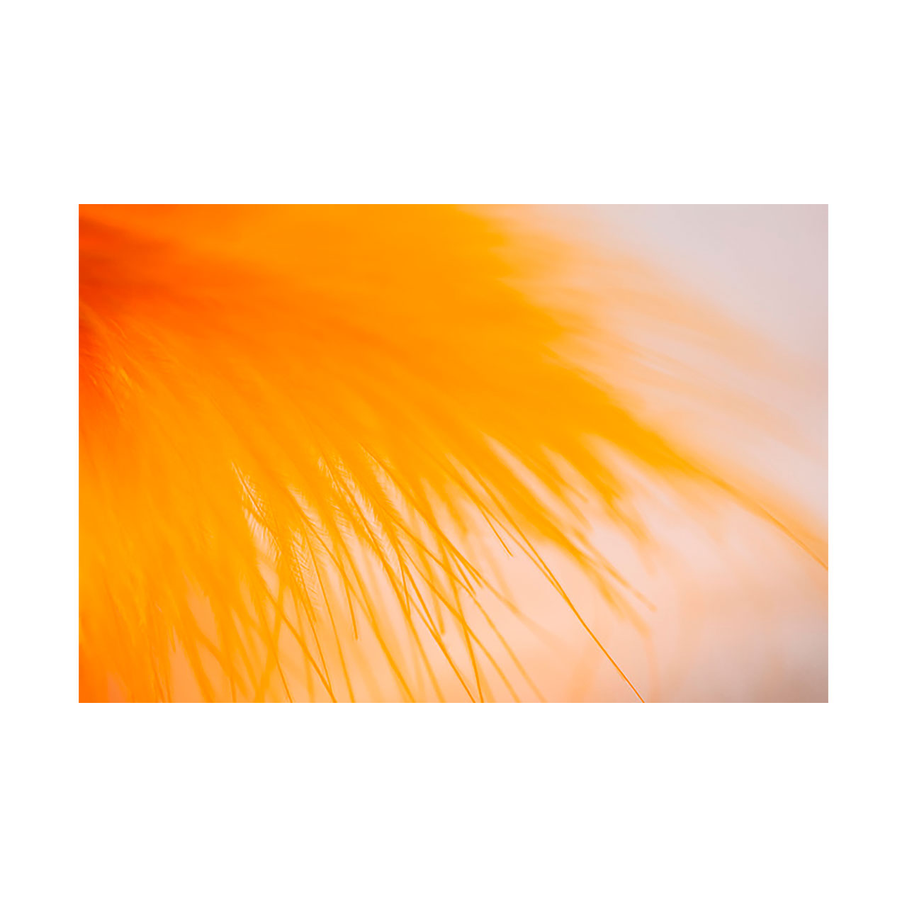 تابلو شاسی طرح نارنجی کد 8815