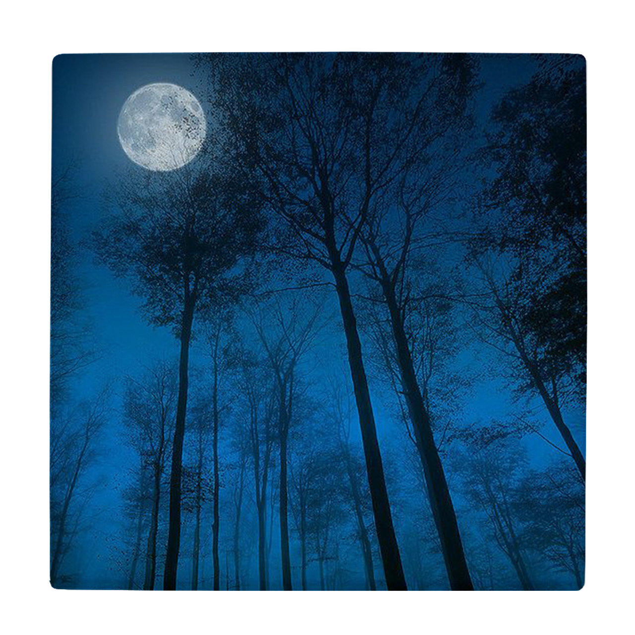 کاشی طرح مهتاب و جنگل کد wk294