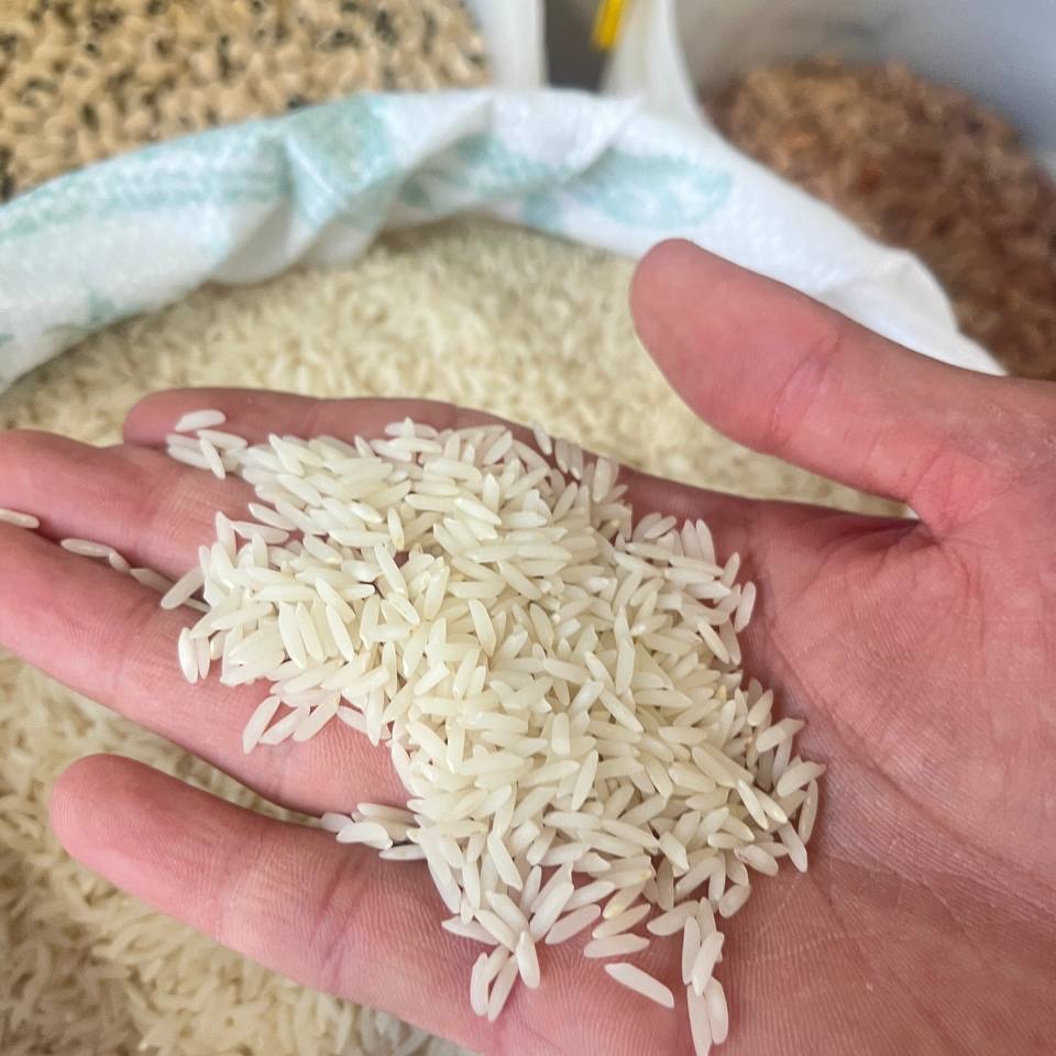برنج طارم هاشمی درجه 1